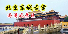 大鸡八猛操中国北京-东城古宫旅游风景区