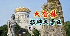 性感美女被插进去操麻豆视频下载中国浙江-绍兴大香林旅游风景区